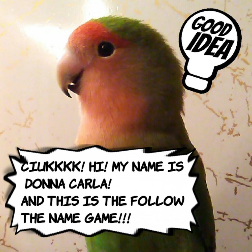 FOLLOW THE NAMES GAME!